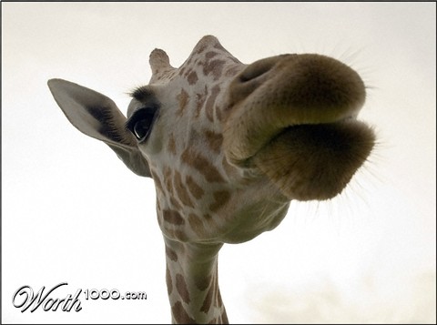 Photography by everydaynew