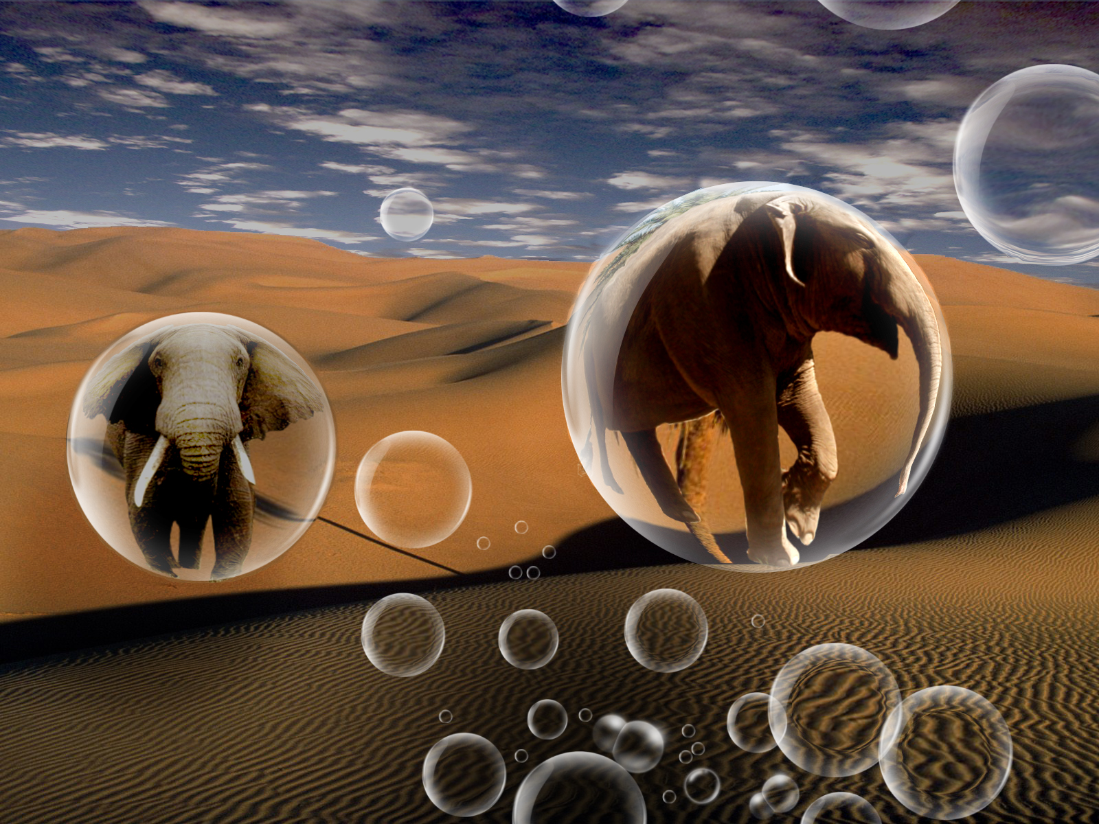 Photoshop Design by brdispatch05 for DesignCrowd (Community Contests) | Design #8944540