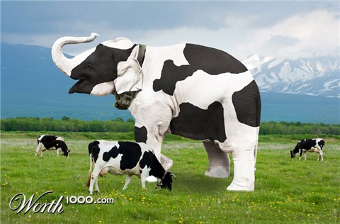 Photoshop Design by rthul2413