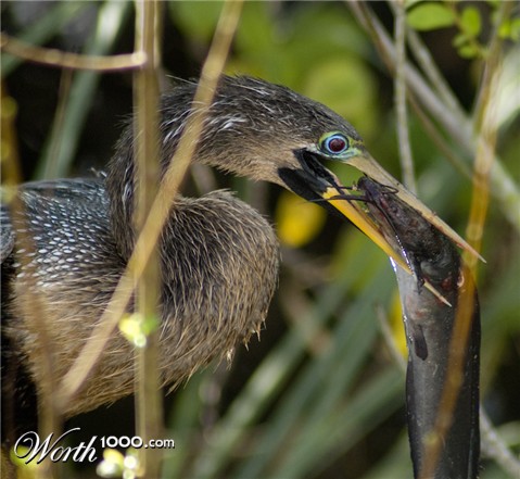 Photography by georgethedog