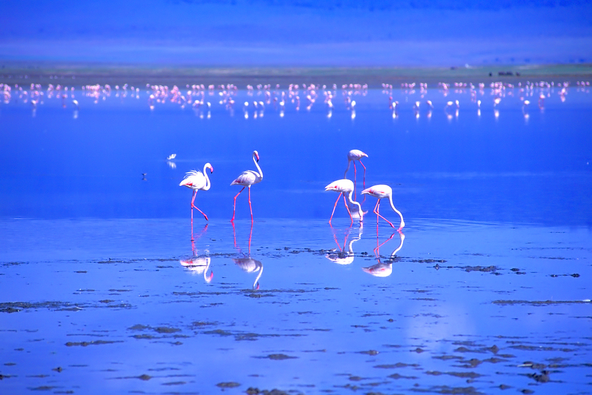 Photography by maskedshopper for DesignCrowd (Community Contests) | Design #8941515