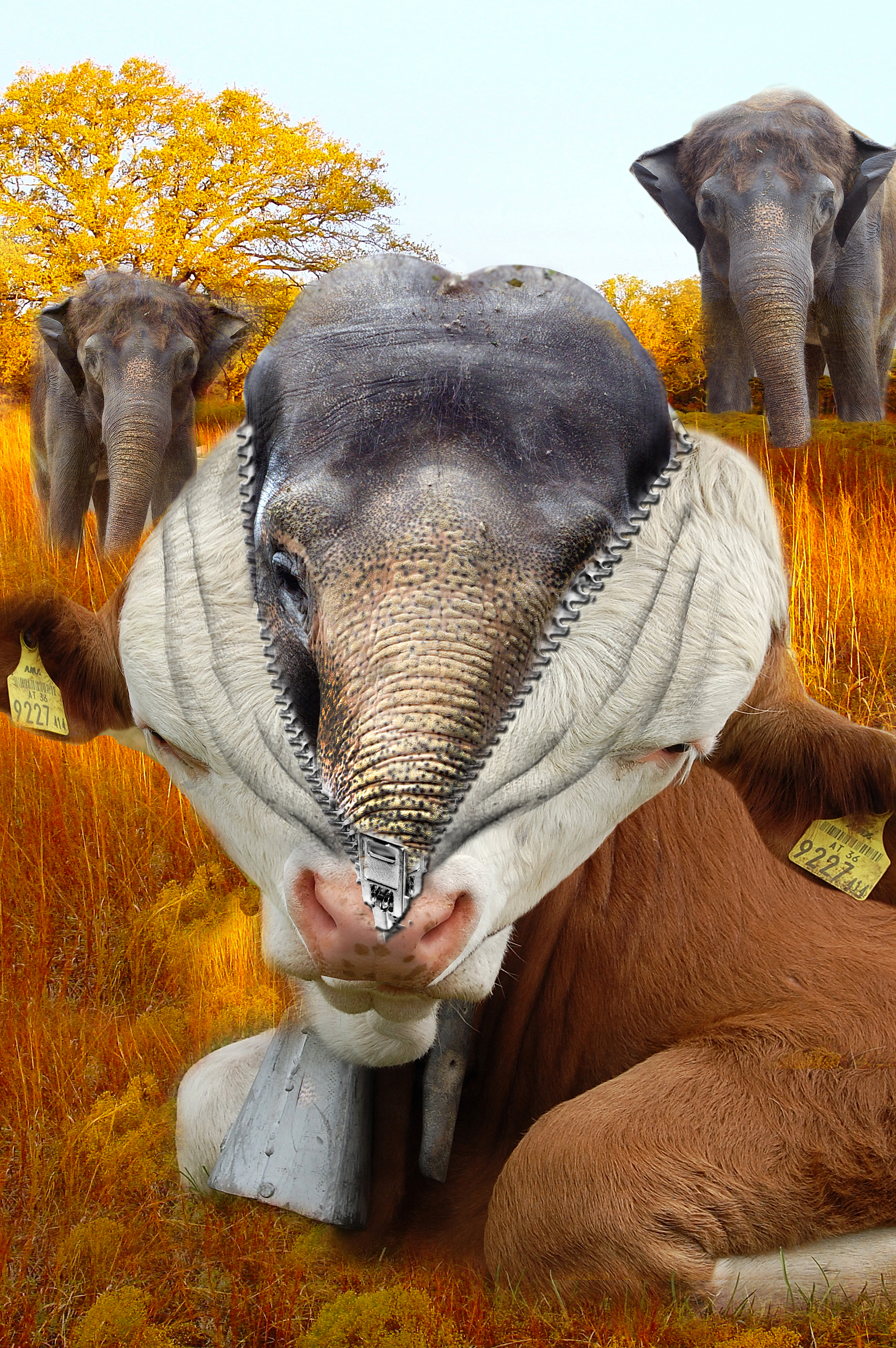 Photoshop Design by allstate for DesignCrowd (Community Contests) | Design #8944618