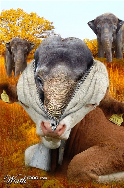 Photoshop Design by allstate