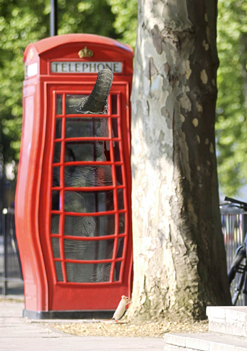 Photoshop Design by steffi86 for DesignCrowd (Community Contests) | Design #8944660