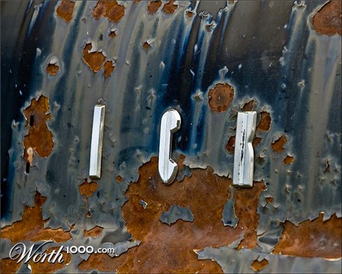 Photography by georgethedog