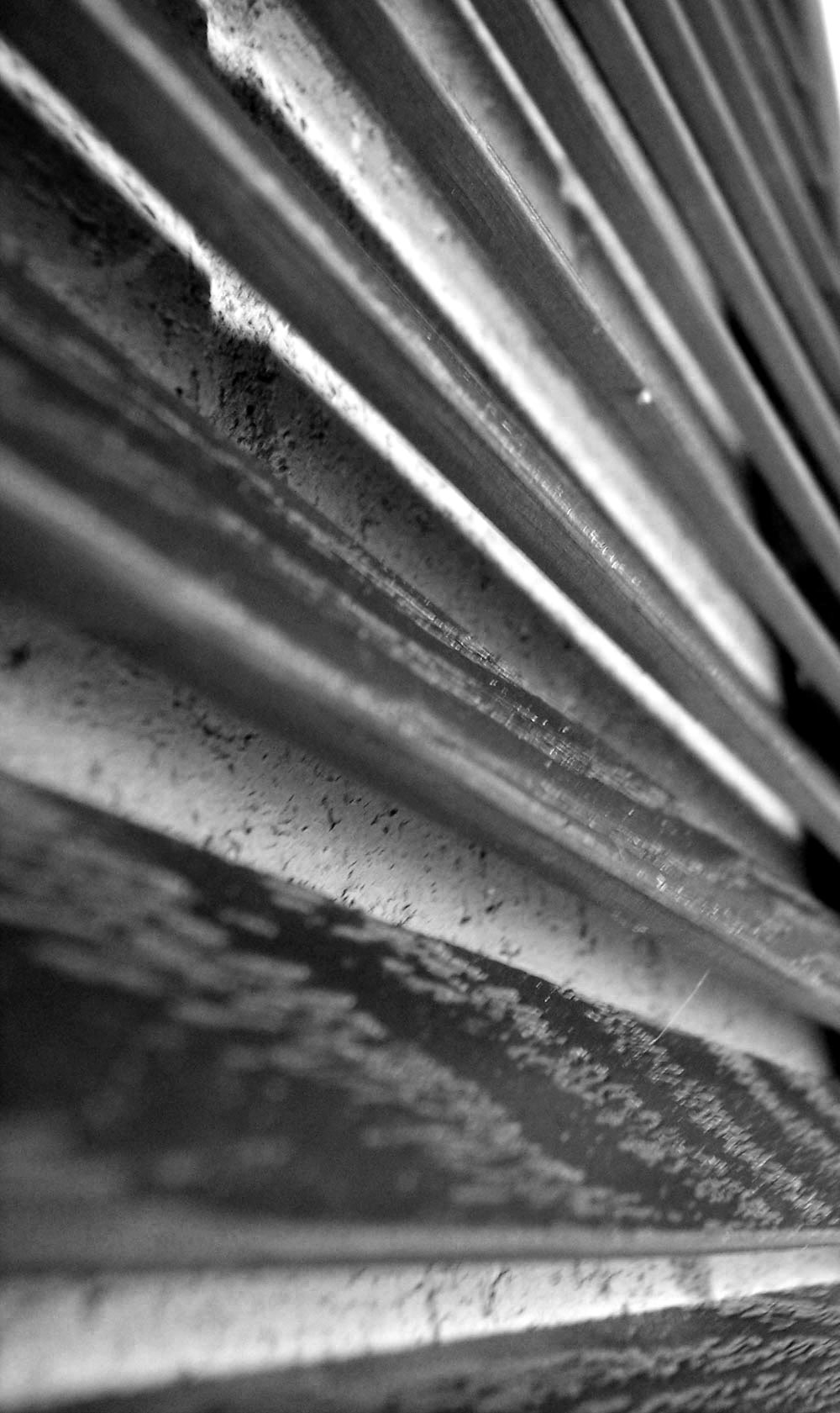 Fotografía por mindy3051 para DesignCrowd (Community Contests) | Diseño #8941767