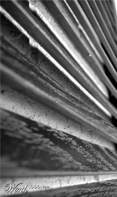 Photography by mindy3051