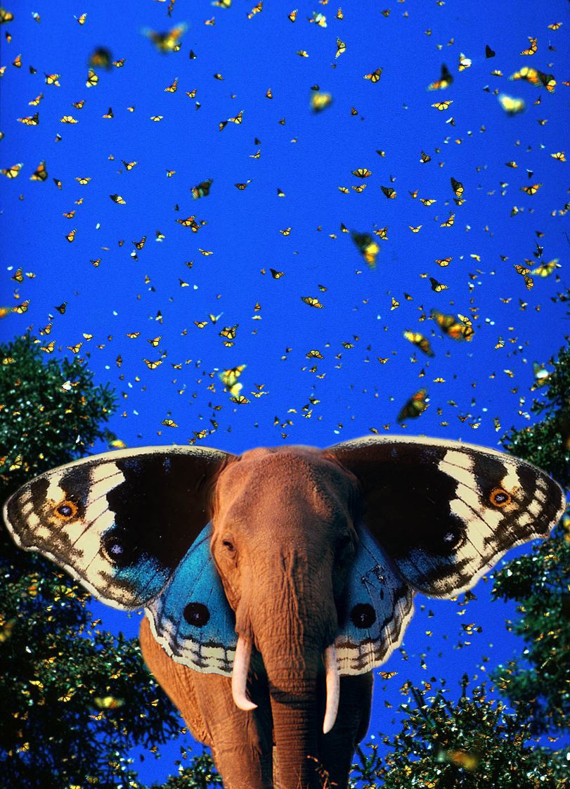 Photoshop Design by Guardian4J for DesignCrowd (Community Contests) | Design #8944716