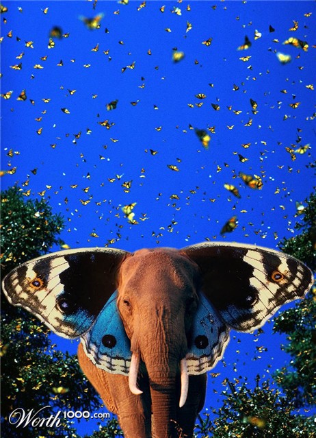 Photoshop Design by Guardian4J