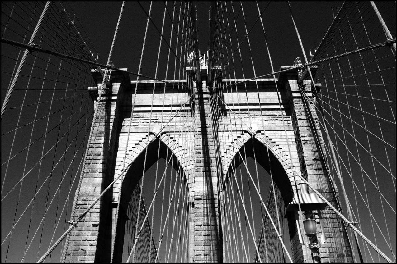 Photography by nelethys for DesignCrowd (Community Contests) | Design #8939288