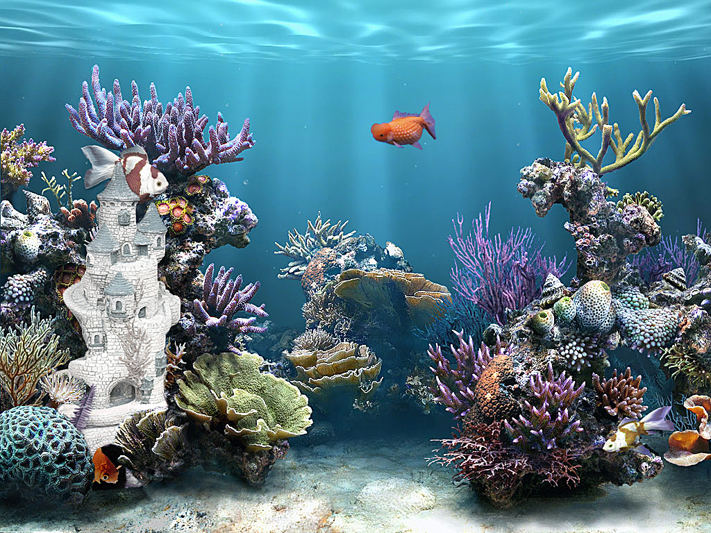 Photoshop Design by Smgkw123 for DesignCrowd (Community Contests) | Design #8946264