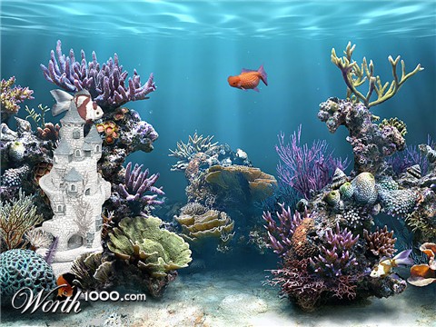 Photoshop Design by Smgkw123