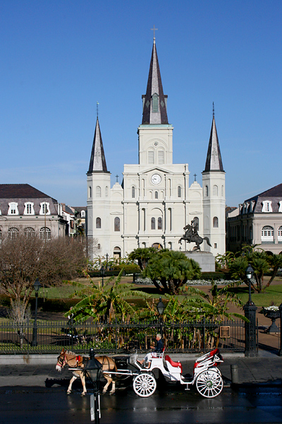 Photography by BBBastet for DesignCrowd (Community Contests) | Design #8939247