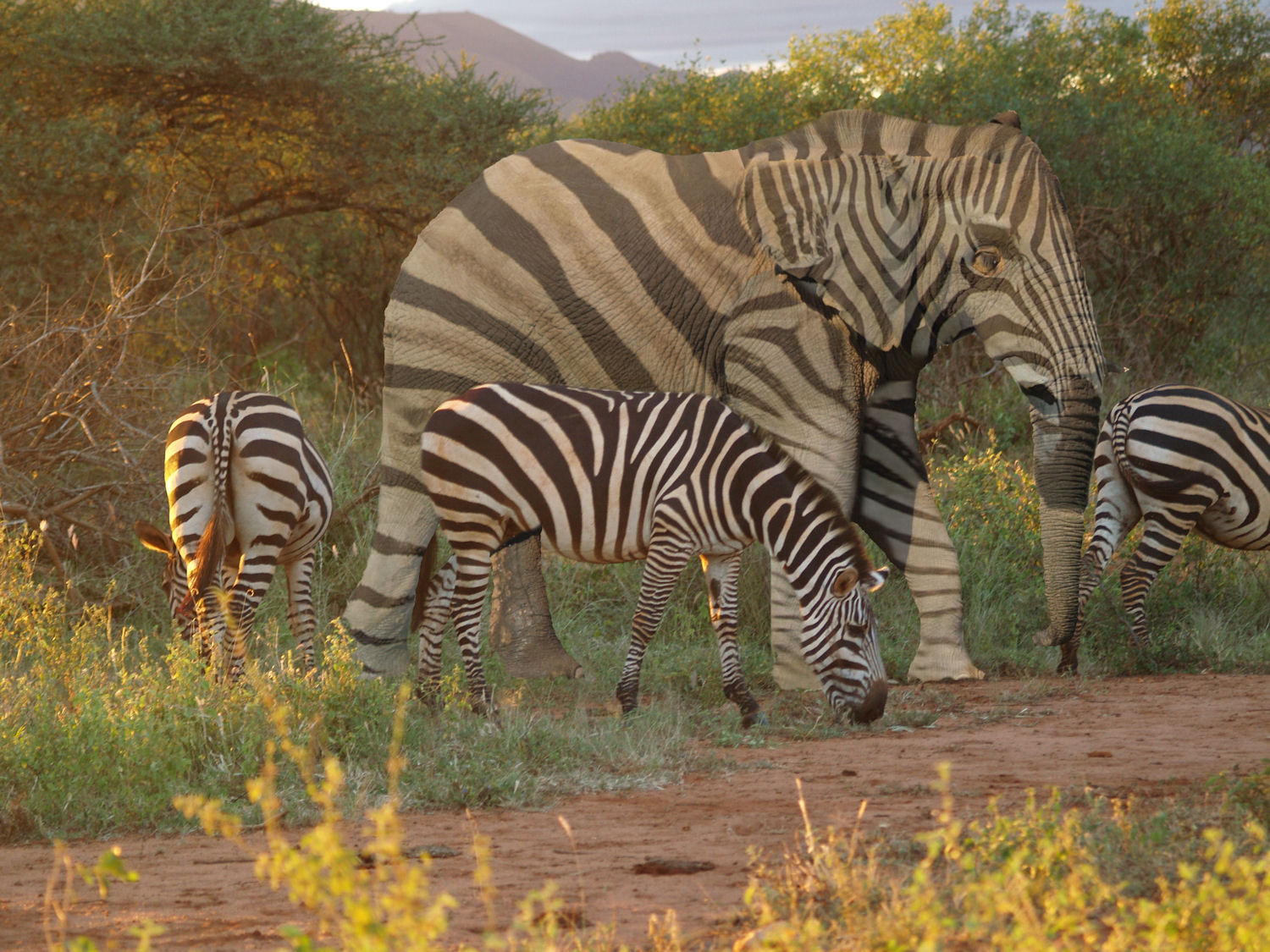 Design Photoshop par BobT55 pour DesignCrowd (Community Contests) | Design #8944790