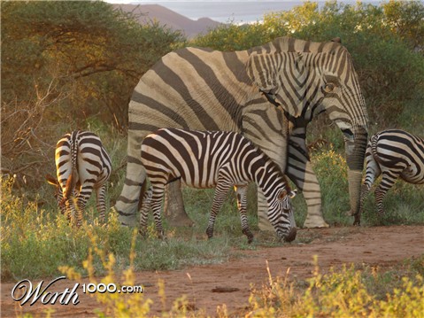 Photoshop Design by BobT55