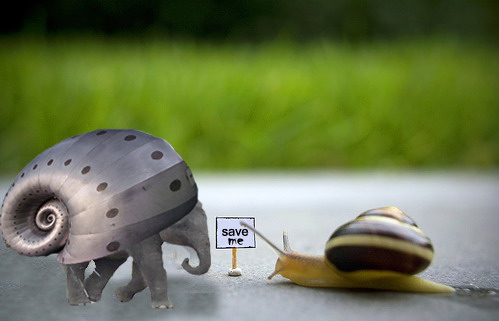 Photoshop Design by fawania for DesignCrowd (Community Contests) | Design #8944759