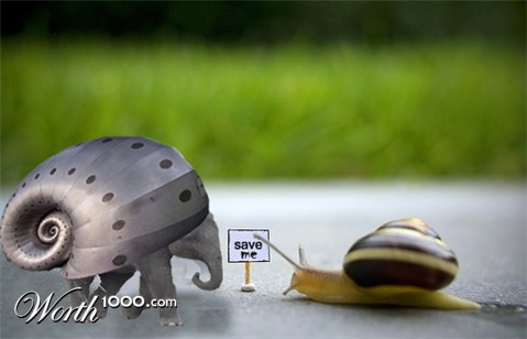 Photoshop Design by fawania