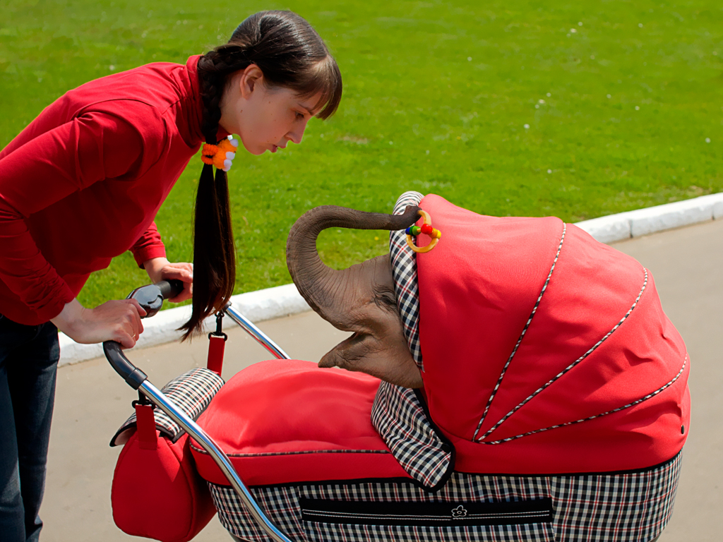 Photoshop Design by IngelaS for DesignCrowd (Community Contests) | Design #8944685