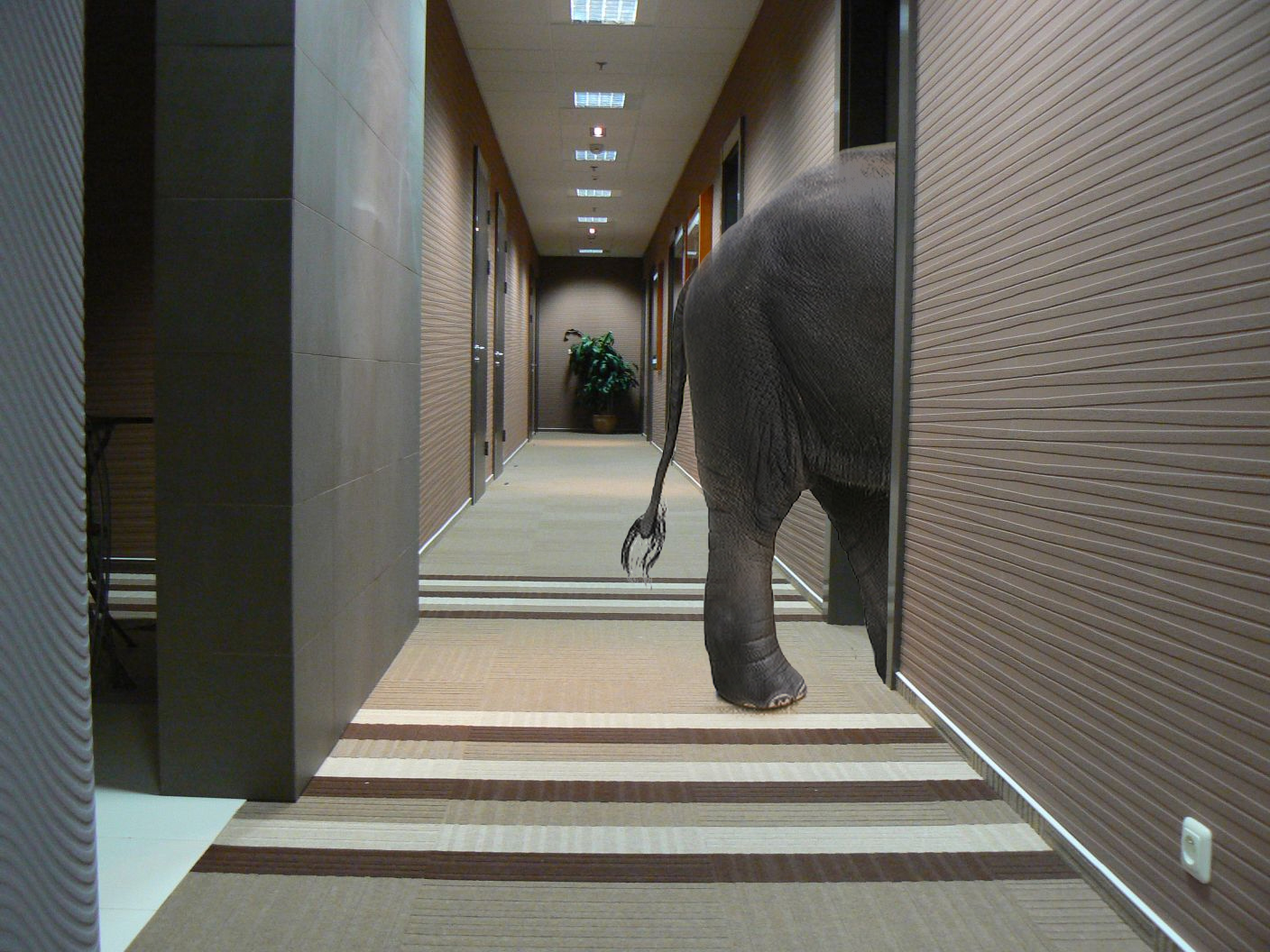 Photoshop Design by Jez459 for DesignCrowd (Community Contests) | Design #8944740