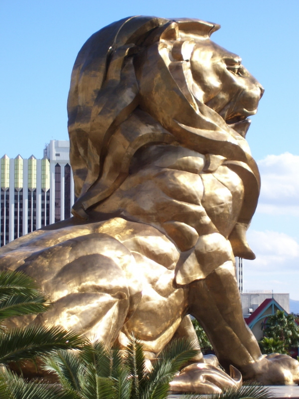 Photography by slith for DesignCrowd (Community Contests) | Design #8939261