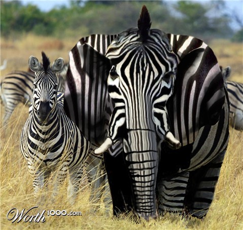 Photoshop Design by clintrolf