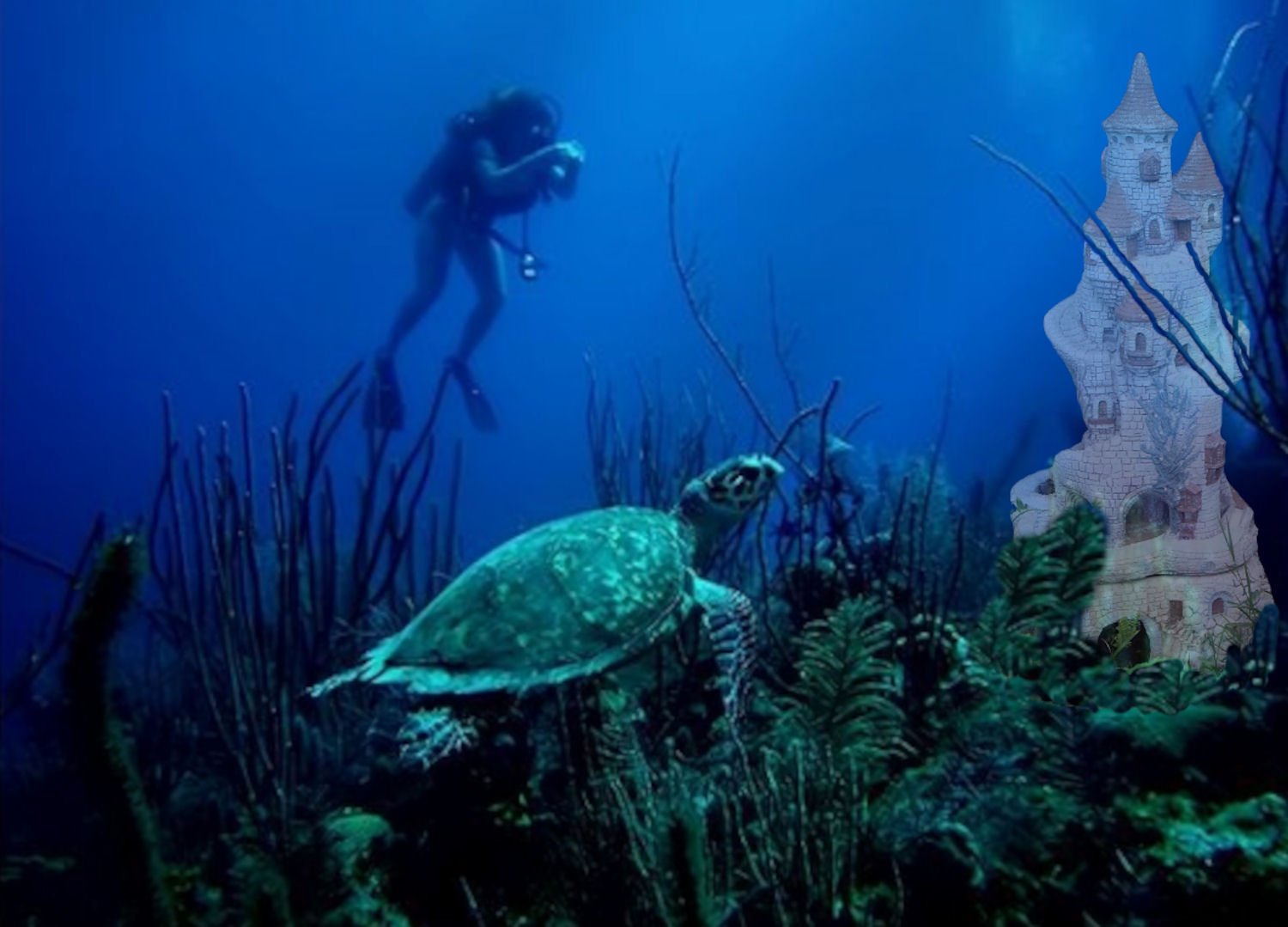 Photoshop Design by BobT55 for DesignCrowd (Community Contests) | Design #8946333