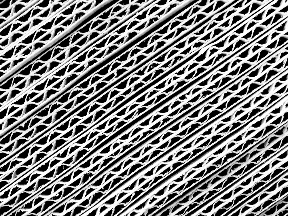 Photography by tilley441 for DesignCrowd (Community Contests) | Design #8941786