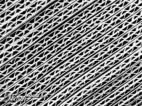 Photography by tilley441