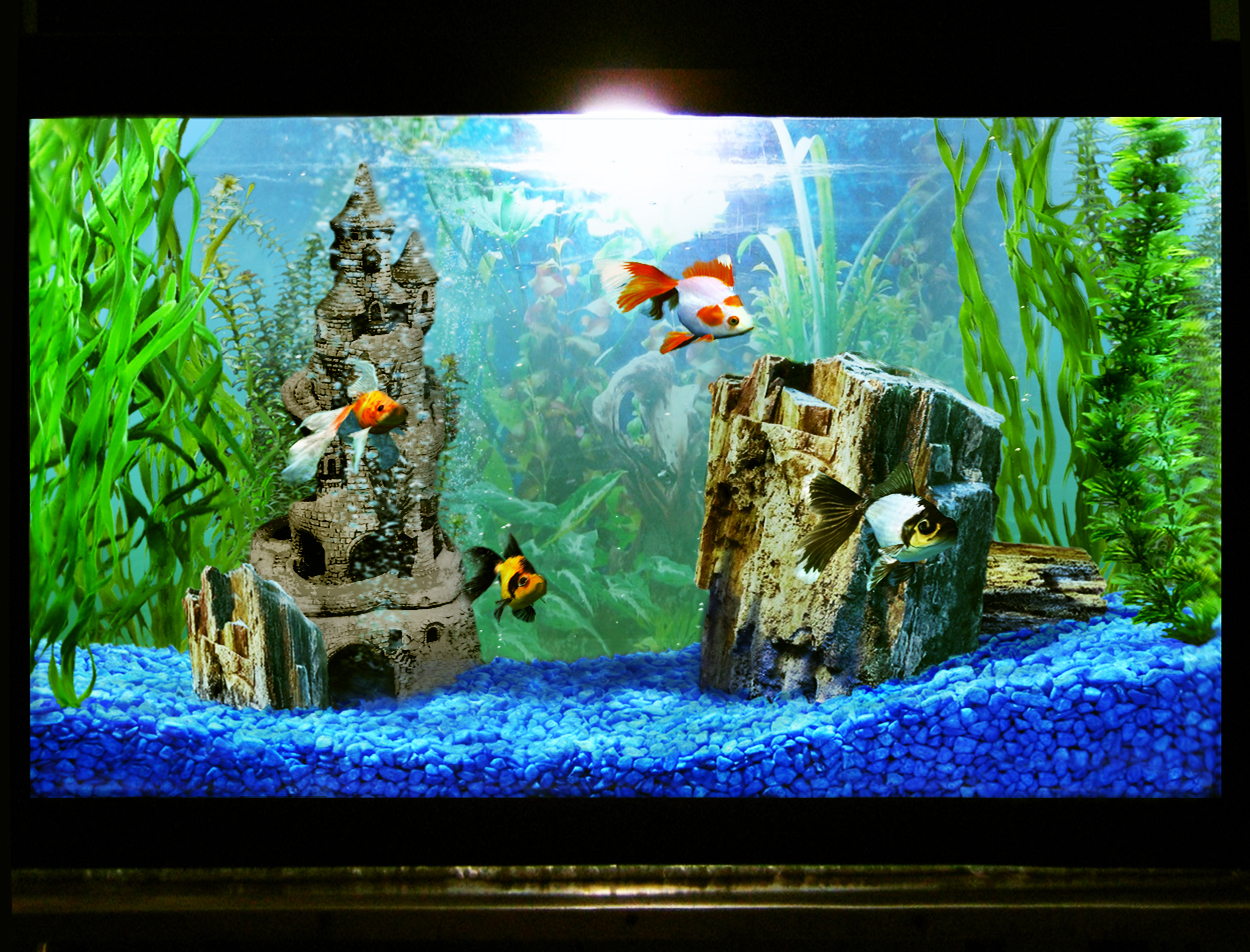 Photoshop Design by Kjirka for DesignCrowd (Community Contests) | Design #8946351