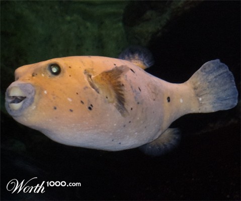 Photography by slith