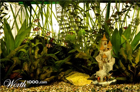 Photoshop Design by tammuz