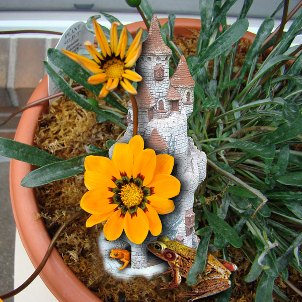 Design Photoshop par janefrog pour DesignCrowd (Community Contests) | Design #8946420