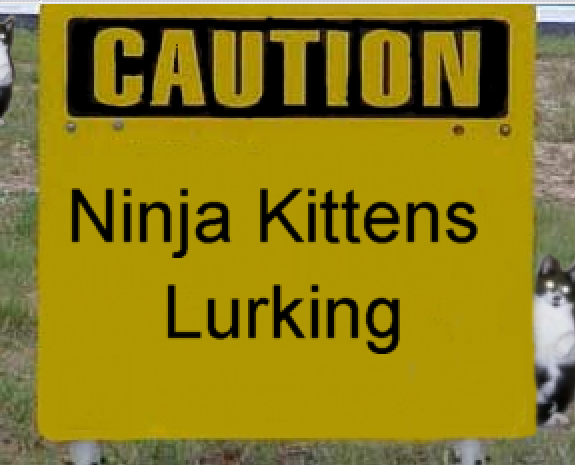 Diseño de Photoshop por JustinGill para DesignCrowd (Community Contests) | Diseño #8942854