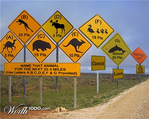 Photoshop Design by janefrog