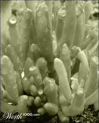 Photography by Alphaccino