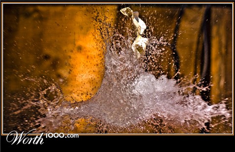 Photography by Iamnotworthy