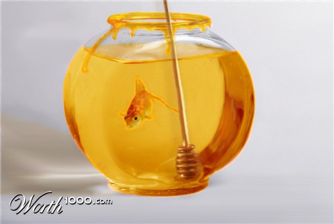 Photoshop Design by Mouladi