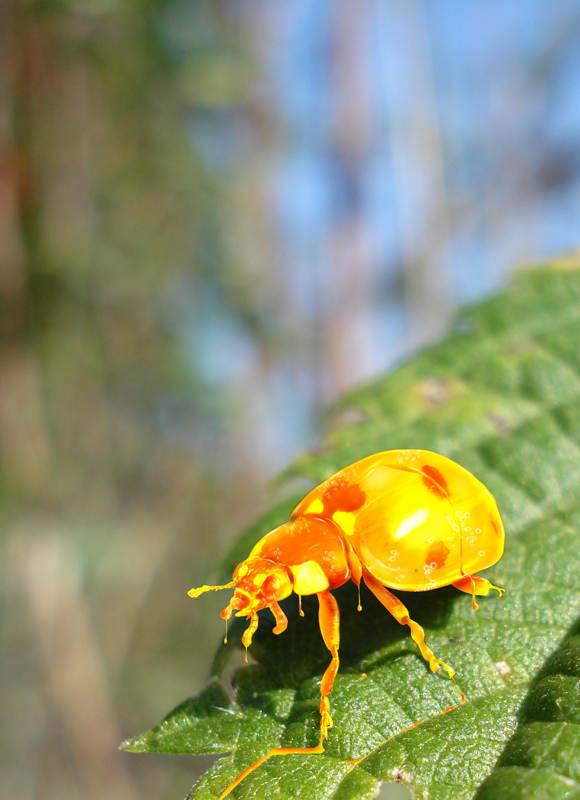 Photoshop Design by mattbyng for DesignCrowd (Community Contests) | Design #8946942