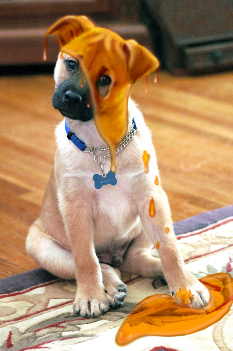 Photoshop Design by lucimine for DesignCrowd (Community Contests) | Design #8947048