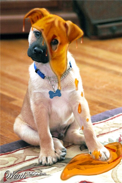 Photoshop Design by lucimine