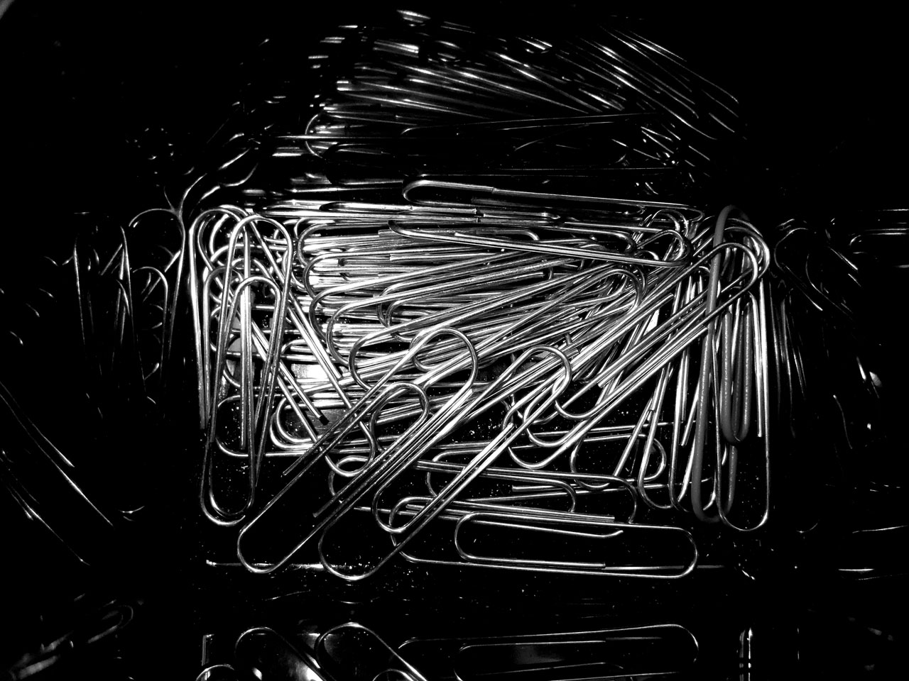 Photography by shellyrae1 for DesignCrowd (Community Contests) | Design #8941934