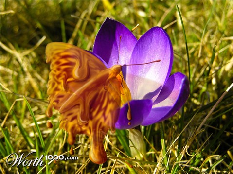 Photoshop Design by melissadiane