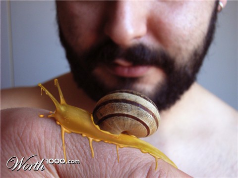 Photoshop Design by perroloco