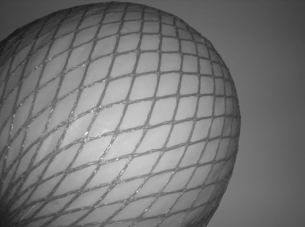 Photography by TRANSCENDENTalMAN for DesignCrowd (Community Contests) | Design #8941905