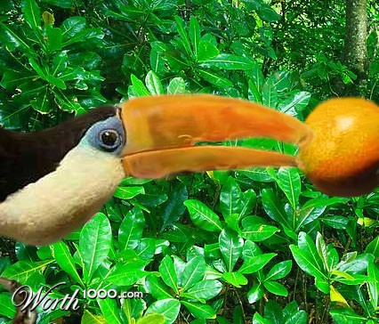 Photoshop Design by cigariscigar