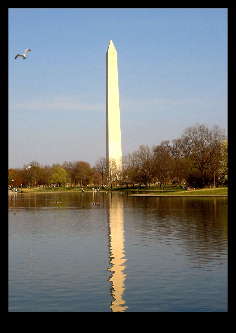 Photography by purplemonkey for DesignCrowd (Community Contests) | Design #8939504