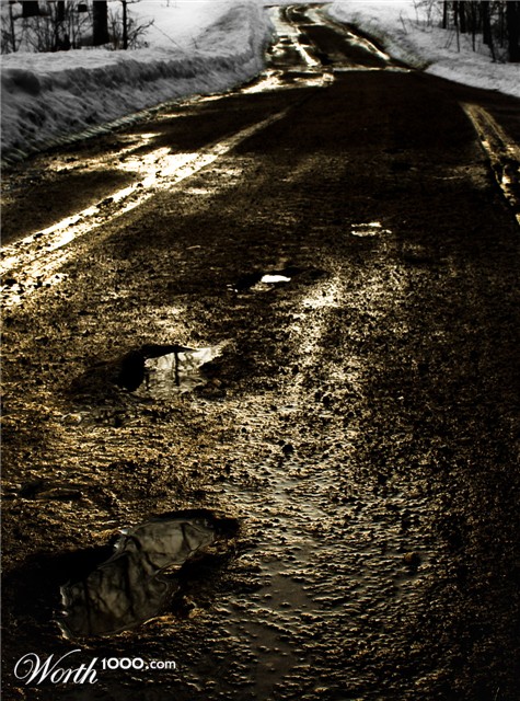 Photography by guitarfrk77