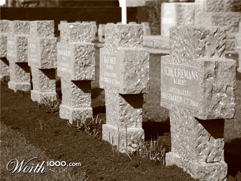 Photography by LucasService