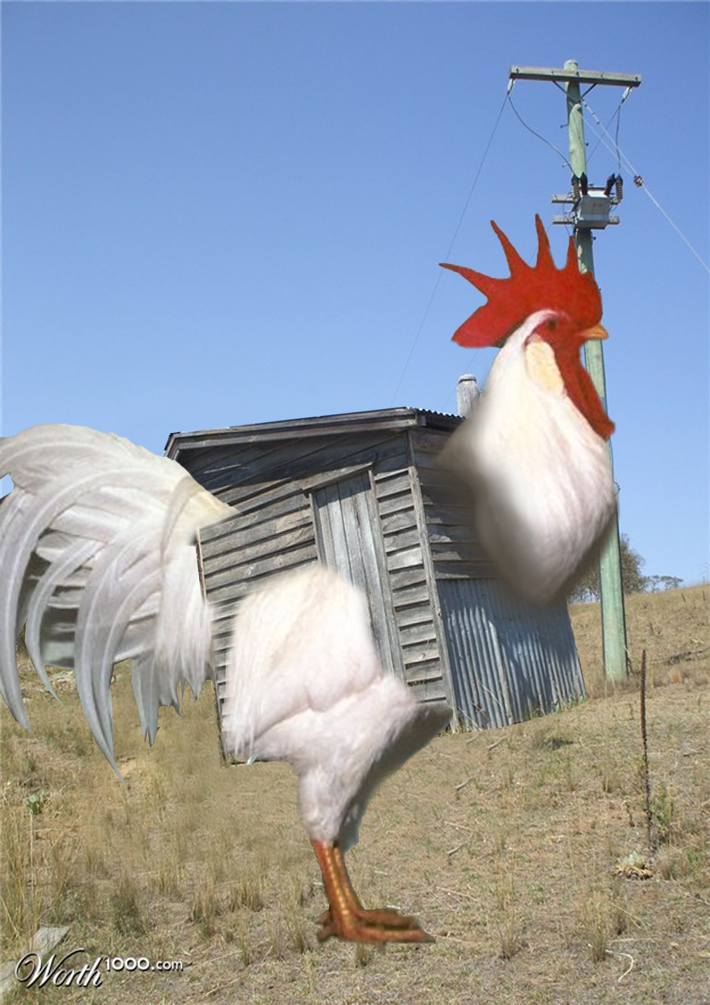 Photoshop Design by littleblob for DesignCrowd (Community Contests) | Design #8944742