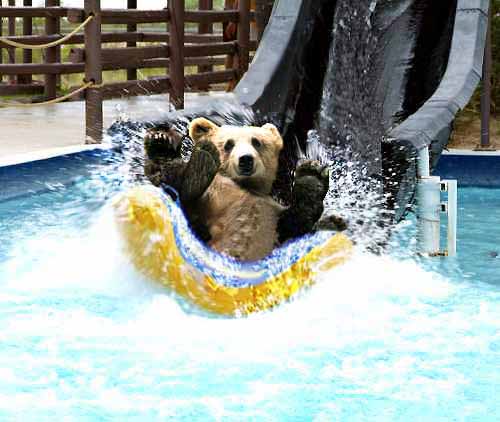 Photoshop-Design von Photogerm für DesignCrowd (Community Contests) | Design #8946955